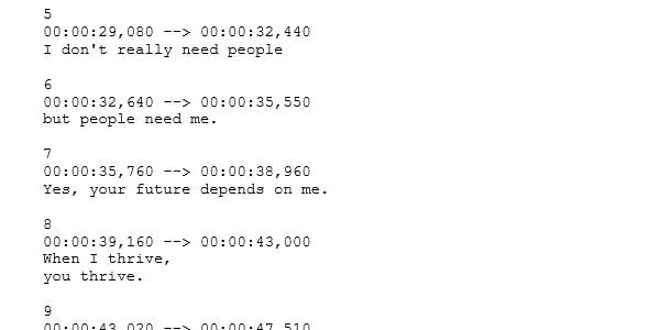 Picture of an SRT file