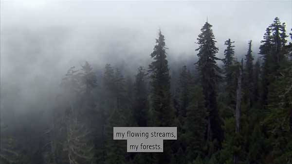 Custom Subtitle Style Example 1