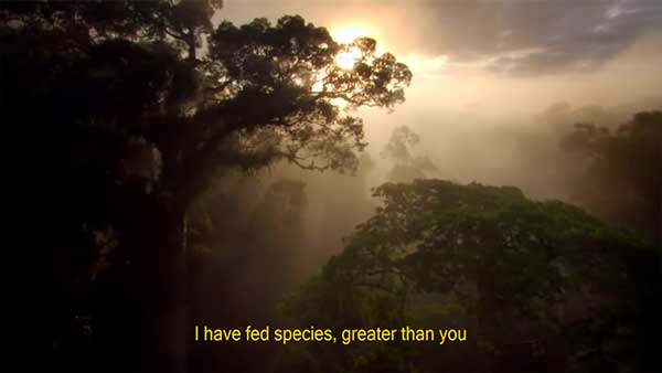 Custom Subtitle Style Example 2